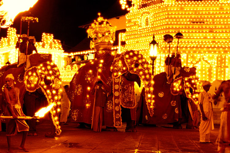 Diverse Cultural Festivals